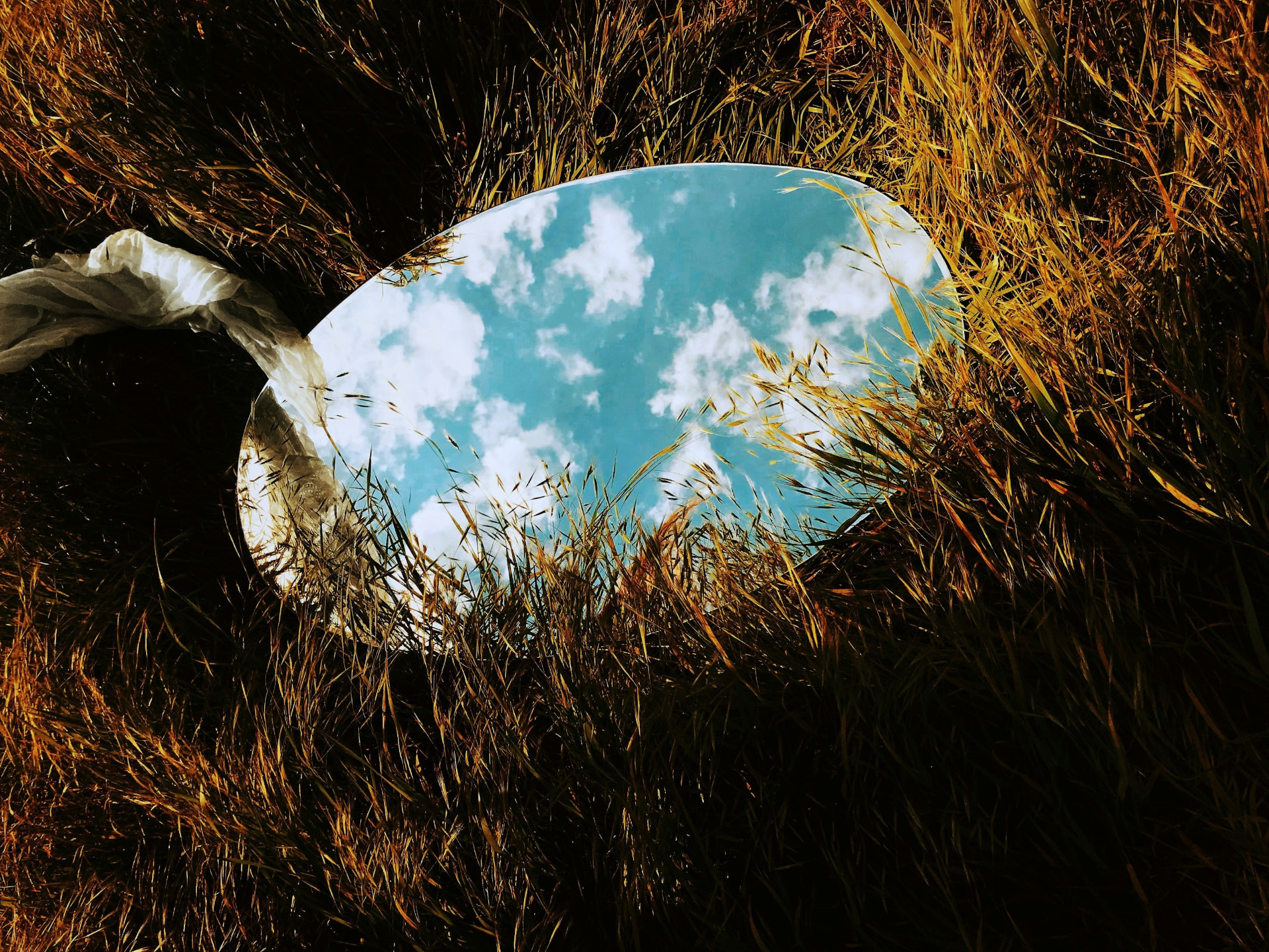 A round mirror lying in dry grass, reflecting the sky