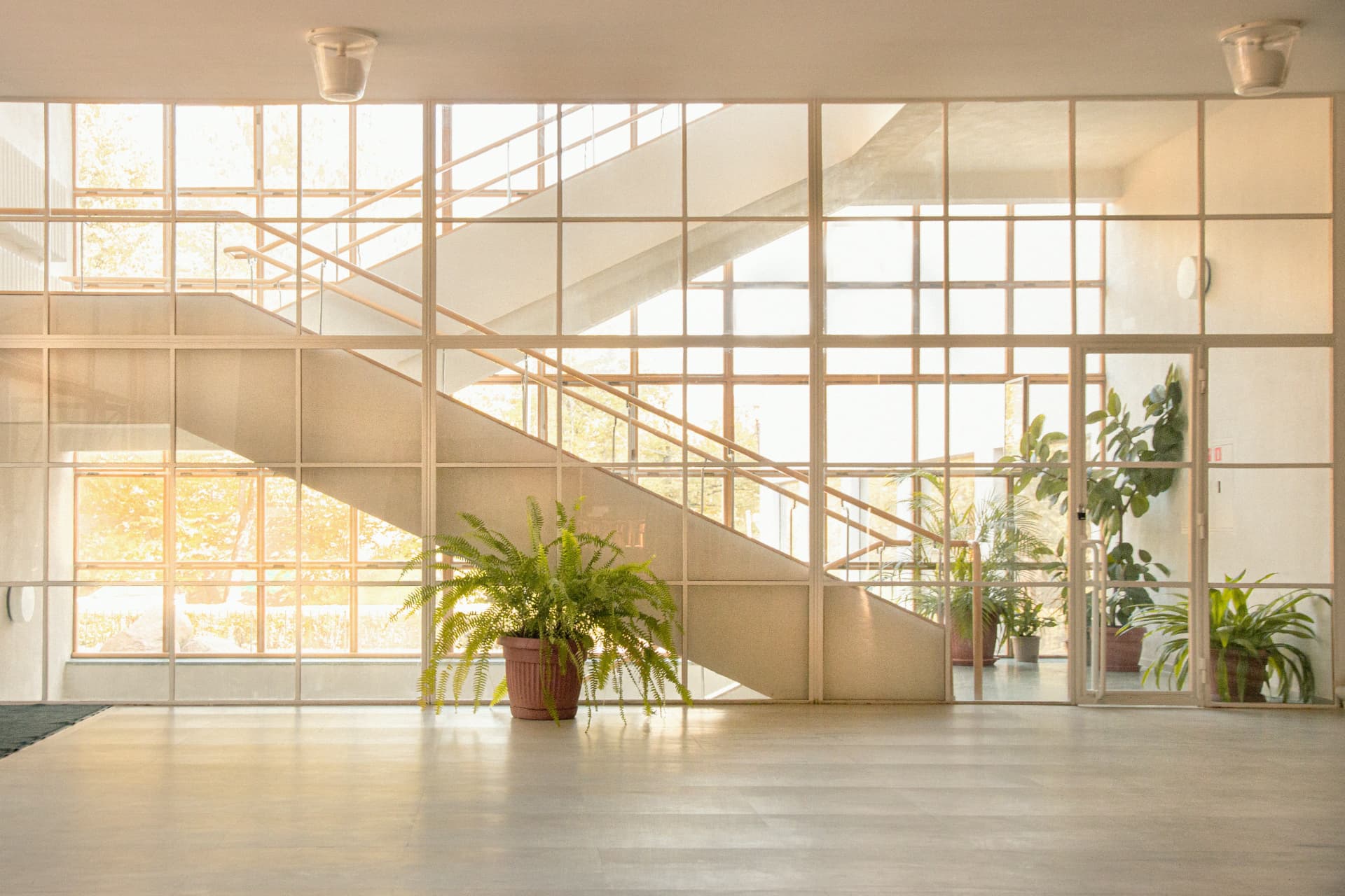 A fern beside a staircase behind a glass wall